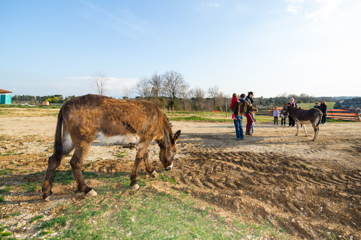 Laboratorio formaggio 28 febbr 2015