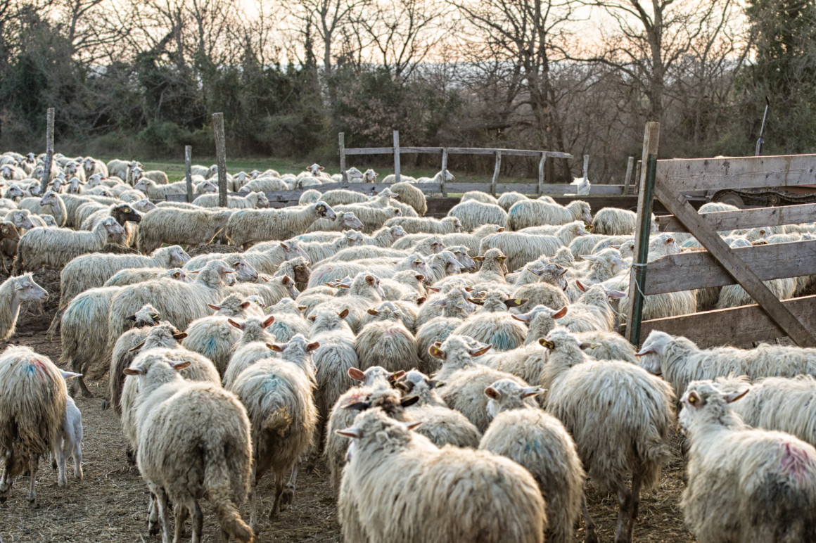 Laboratorio formaggio 28 febbr 2015