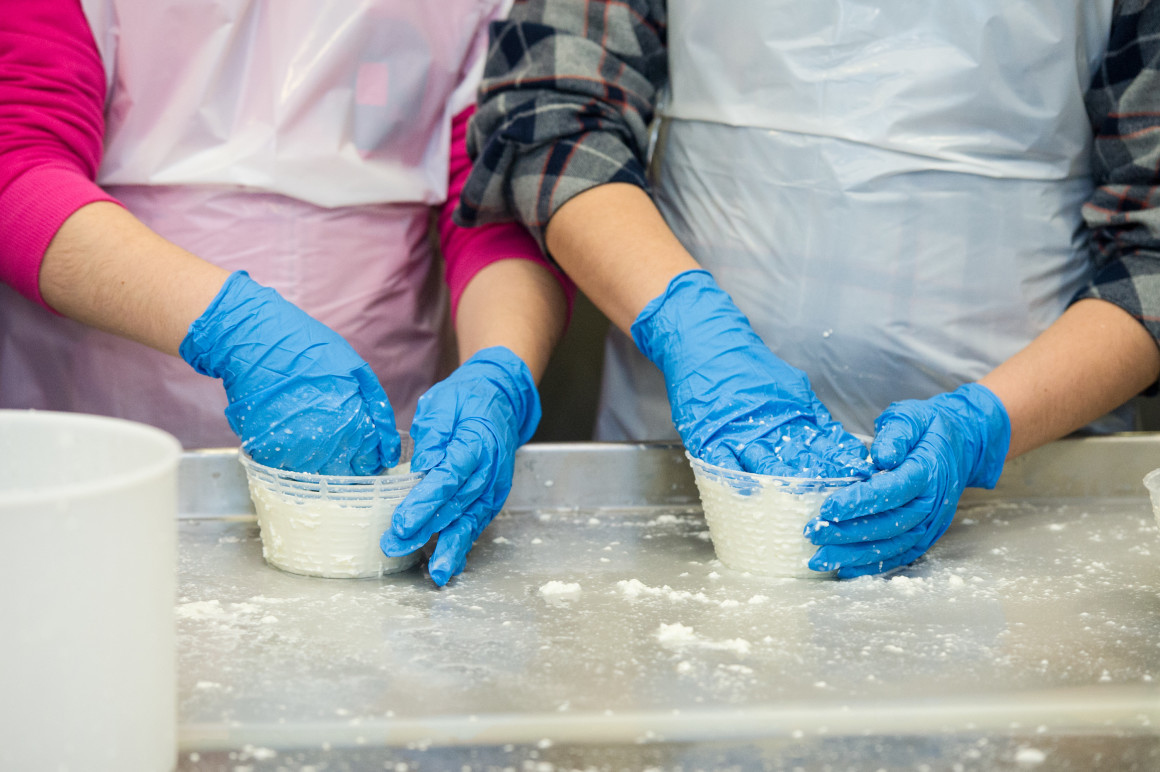 Laboratorio formaggio 28 febbr 2015