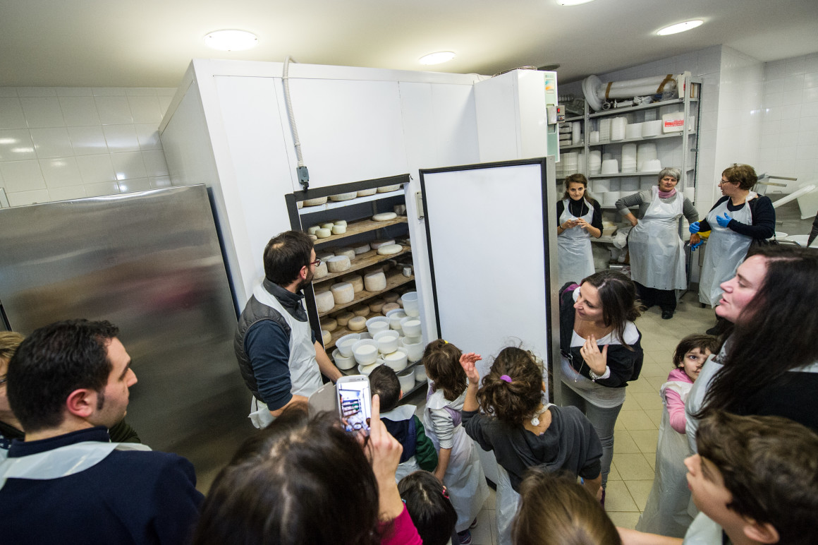 Laboratorio formaggio 28 febbr 2015