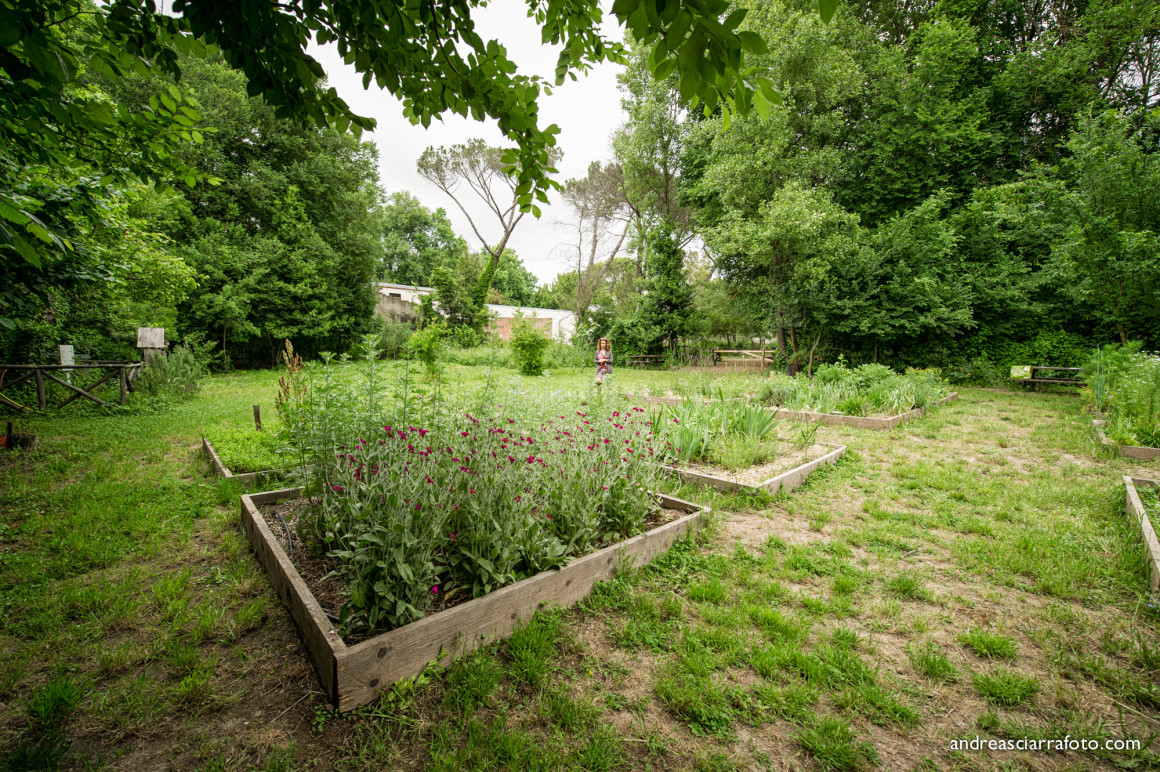 Cultura e alimentazione in orto_Picnic 16 maggio a sostegno di Hortus Urbis (Appia Antica, Roma). Contenuti scientifici dott.ssa Nicoletta Paolillo; sostegno e merenda bio di Eu's il buono fatto bene; foto di Andrea Sciarra (wwwandreascirrafoto.com)