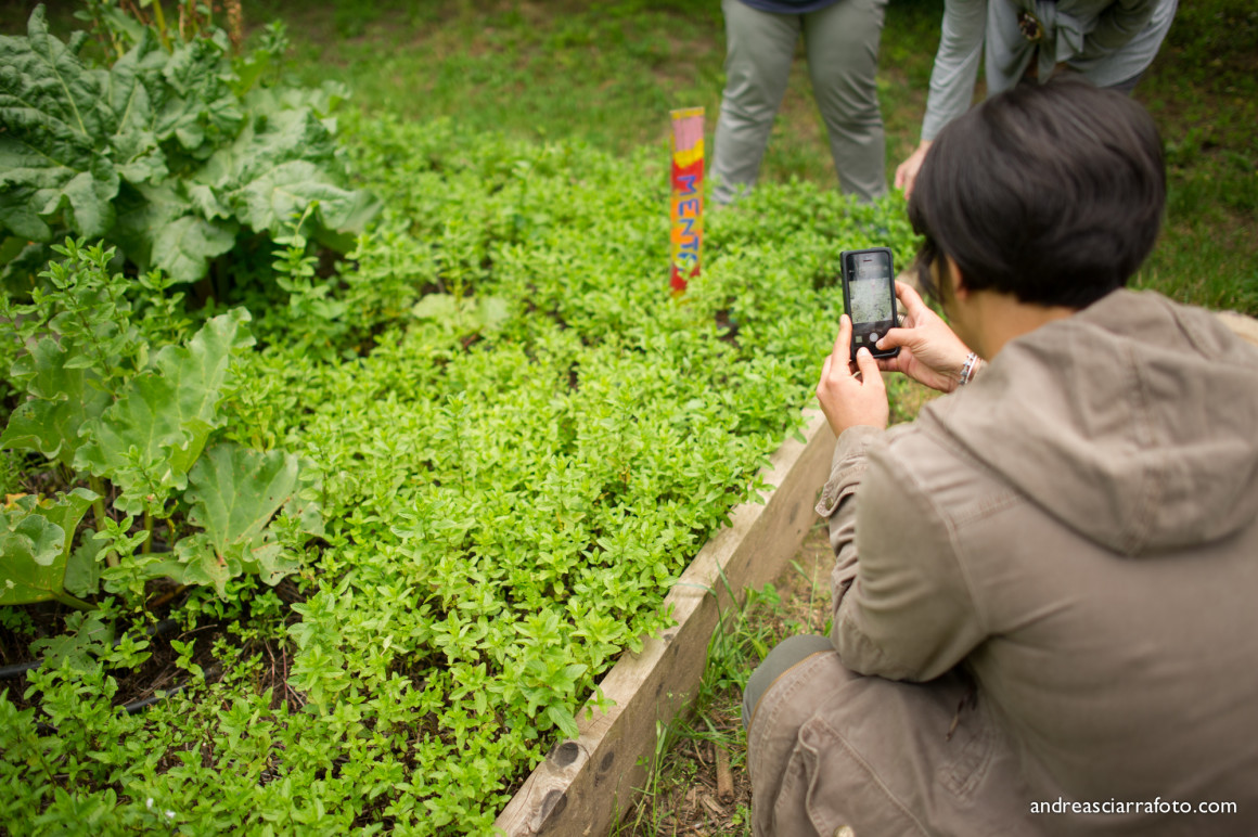 Cultura e alimentazione in orto_Picnic 16 maggio a sostegno di Hortus Urbis (Appia Antica, Roma). Contenuti scientifici dott.ssa Nicoletta Paolillo; sostegno e merenda bio di Eu's il buono fatto bene; foto di Andrea Sciarra (wwwandreascirrafoto.com)