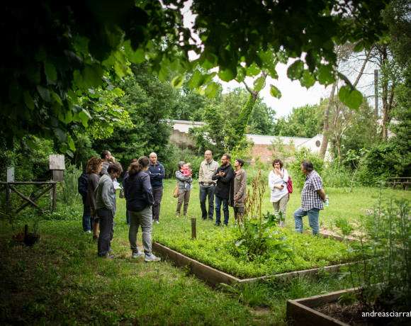 Cultura e alimentazione in orto_Picnic 16 maggio a sostegno di Hortus Urbis (Appia Antica, Roma). Contenuti scientifici dott.ssa Nicoletta Paolillo; sostegno e merenda bio di Eu's il buono fatto bene; foto di Andrea Sciarra (wwwandreascirrafoto.com)