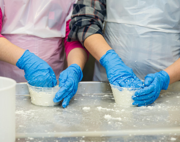 Laboratorio formaggio 28 febbr 2015