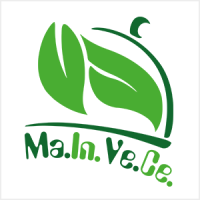 logo mainvece